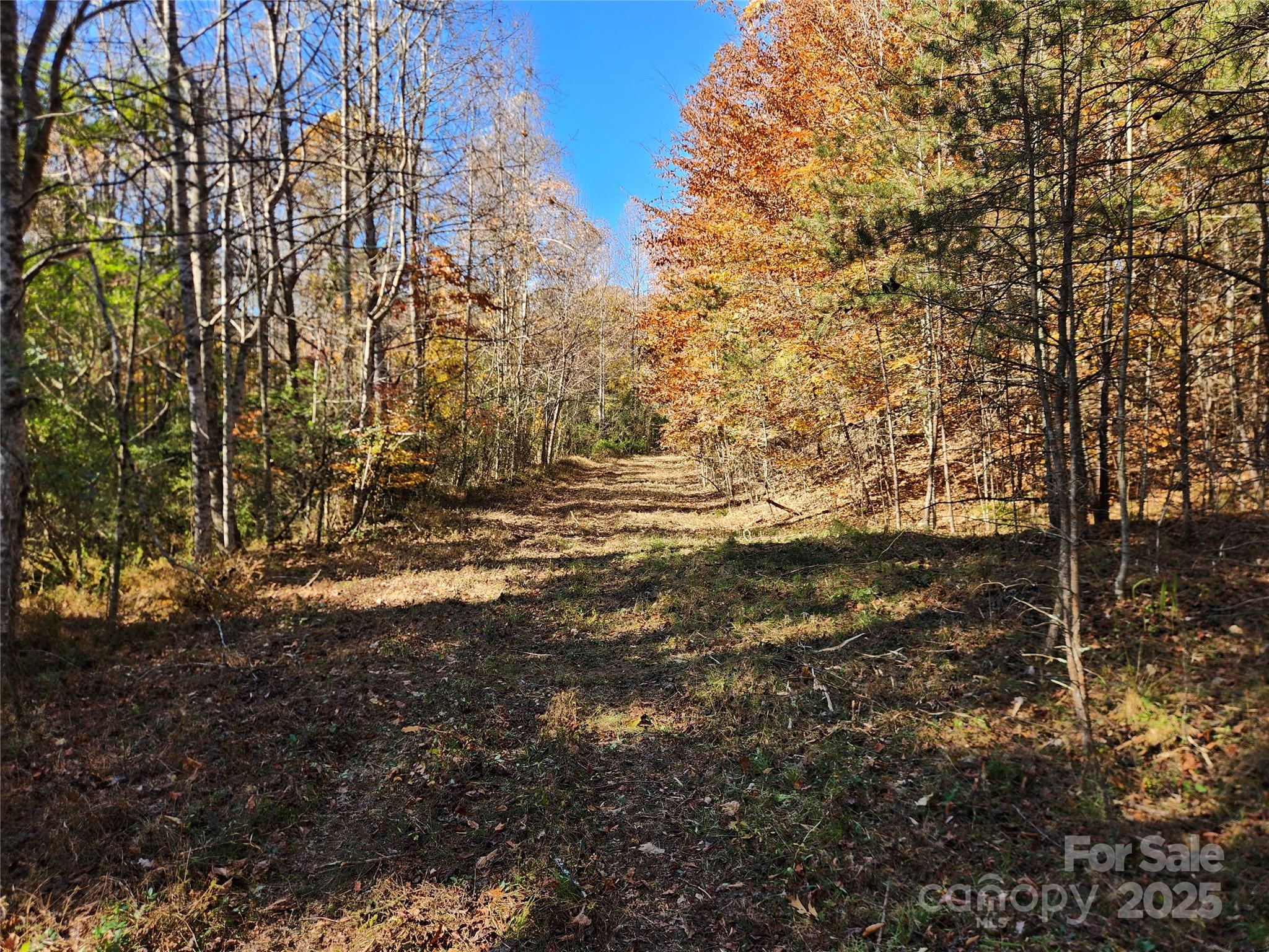 701 Moravian Falls Road Wilkesboro NC 28697