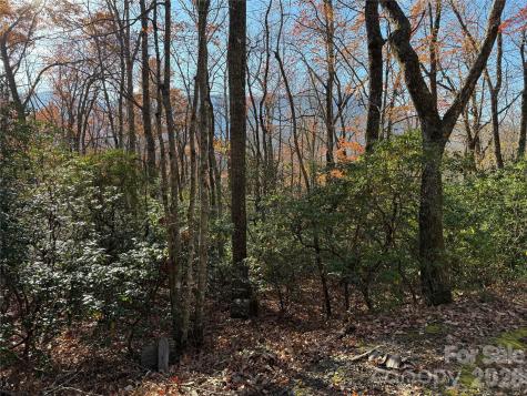 0000 Halls Chapel Road Burnsville NC 28714