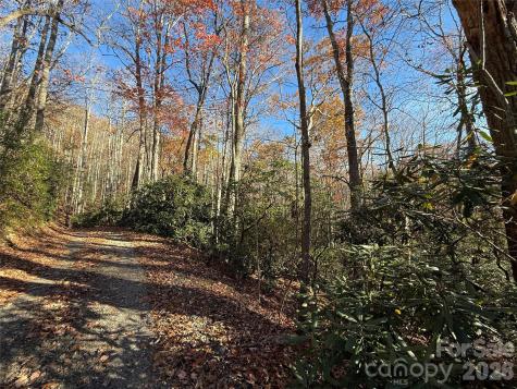 0000 Halls Chapel Road Burnsville NC 28714