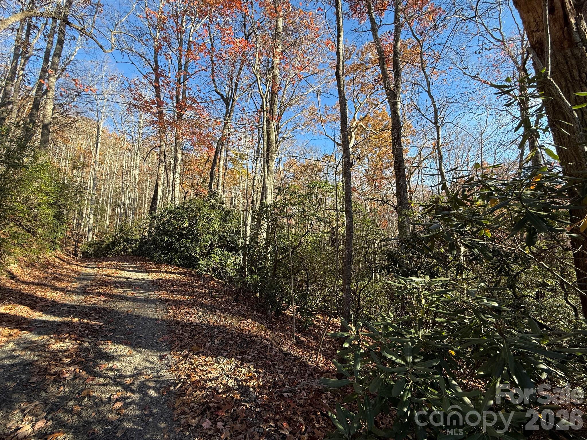 0000 Halls Chapel Road Burnsville NC 28714