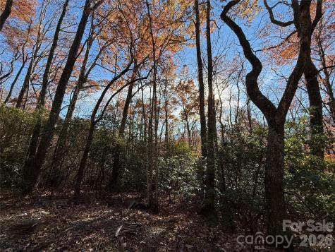0000 Halls Chapel Road Burnsville NC 28714