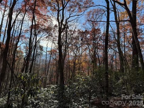0000 Halls Chapel Road Burnsville NC 28714