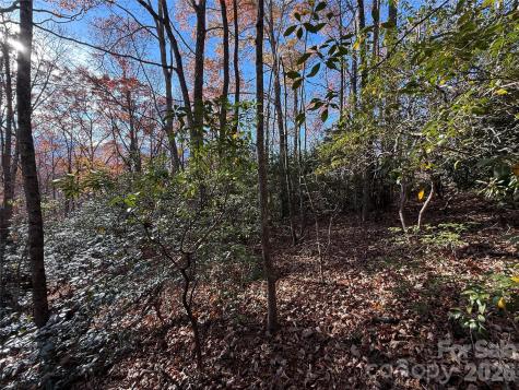 0000 Halls Chapel Road Burnsville NC 28714
