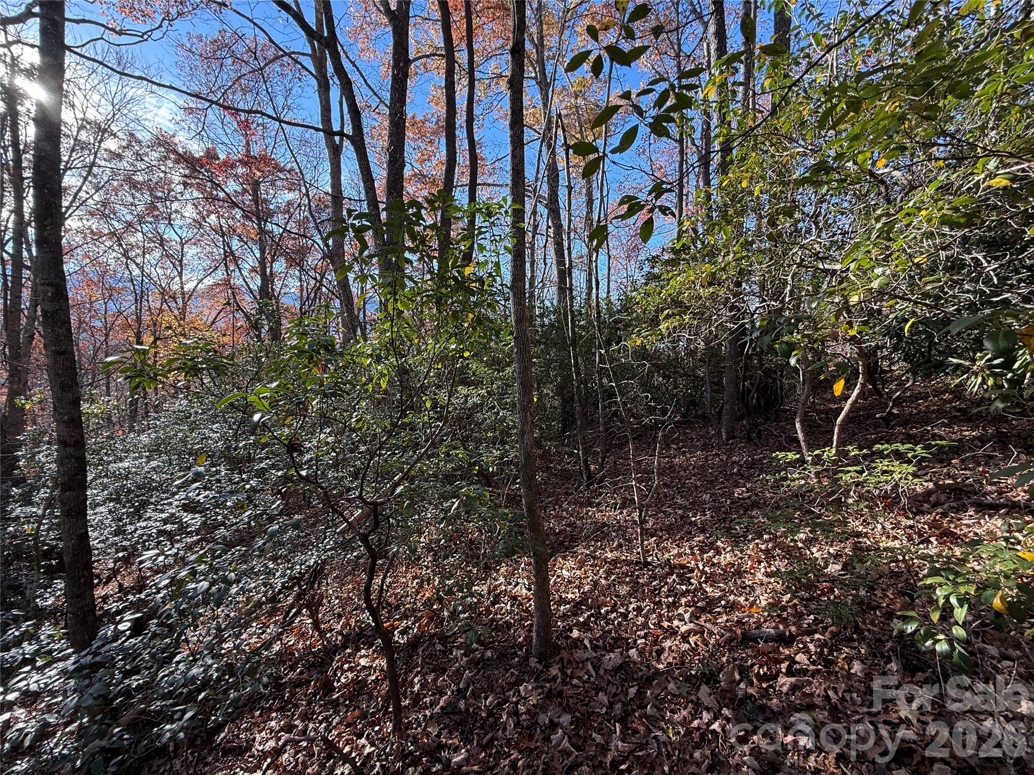 0000 Halls Chapel Road Burnsville NC 28714