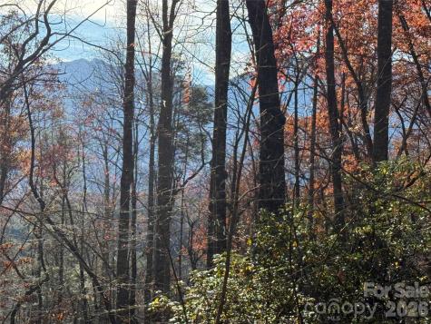 0000 Halls Chapel Road Burnsville NC 28714