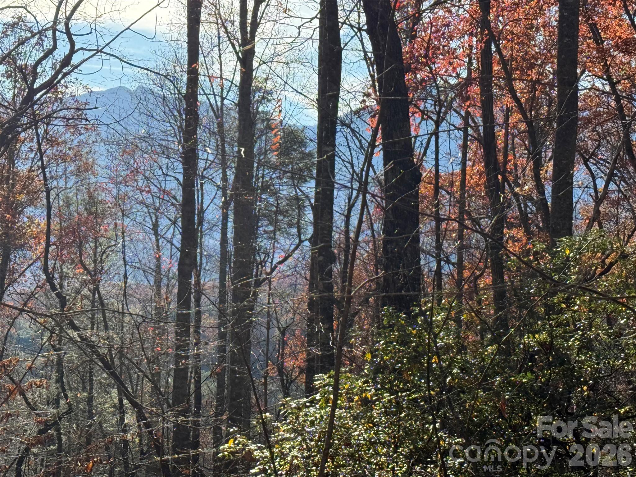 0000 Halls Chapel Road Burnsville NC 28714