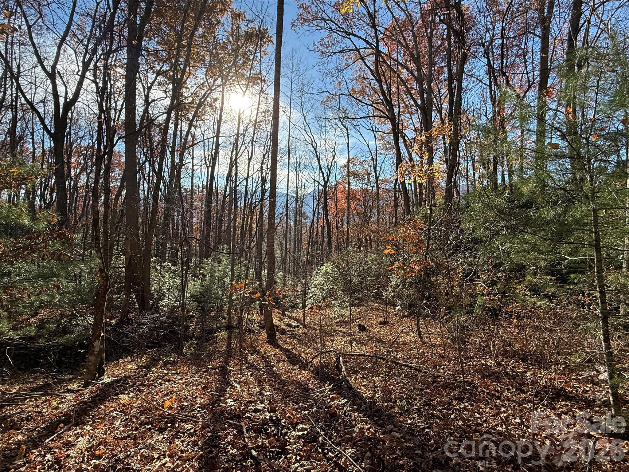 0000 Halls Chapel Road Burnsville NC 28714