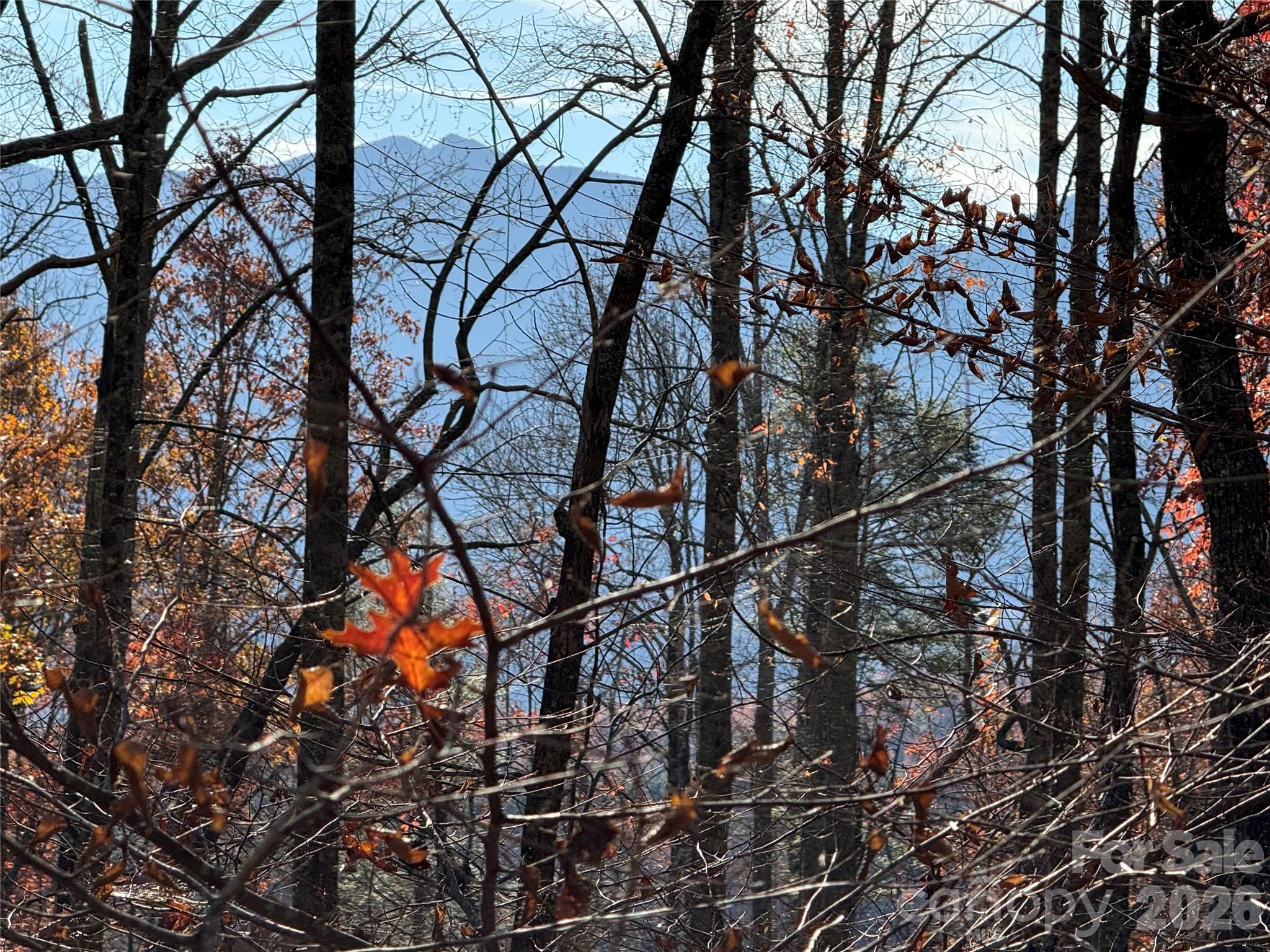 0000 Halls Chapel Road Burnsville NC 28714