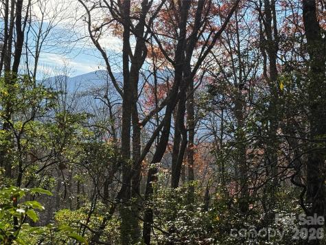 0000 Halls Chapel Road Burnsville NC 28714