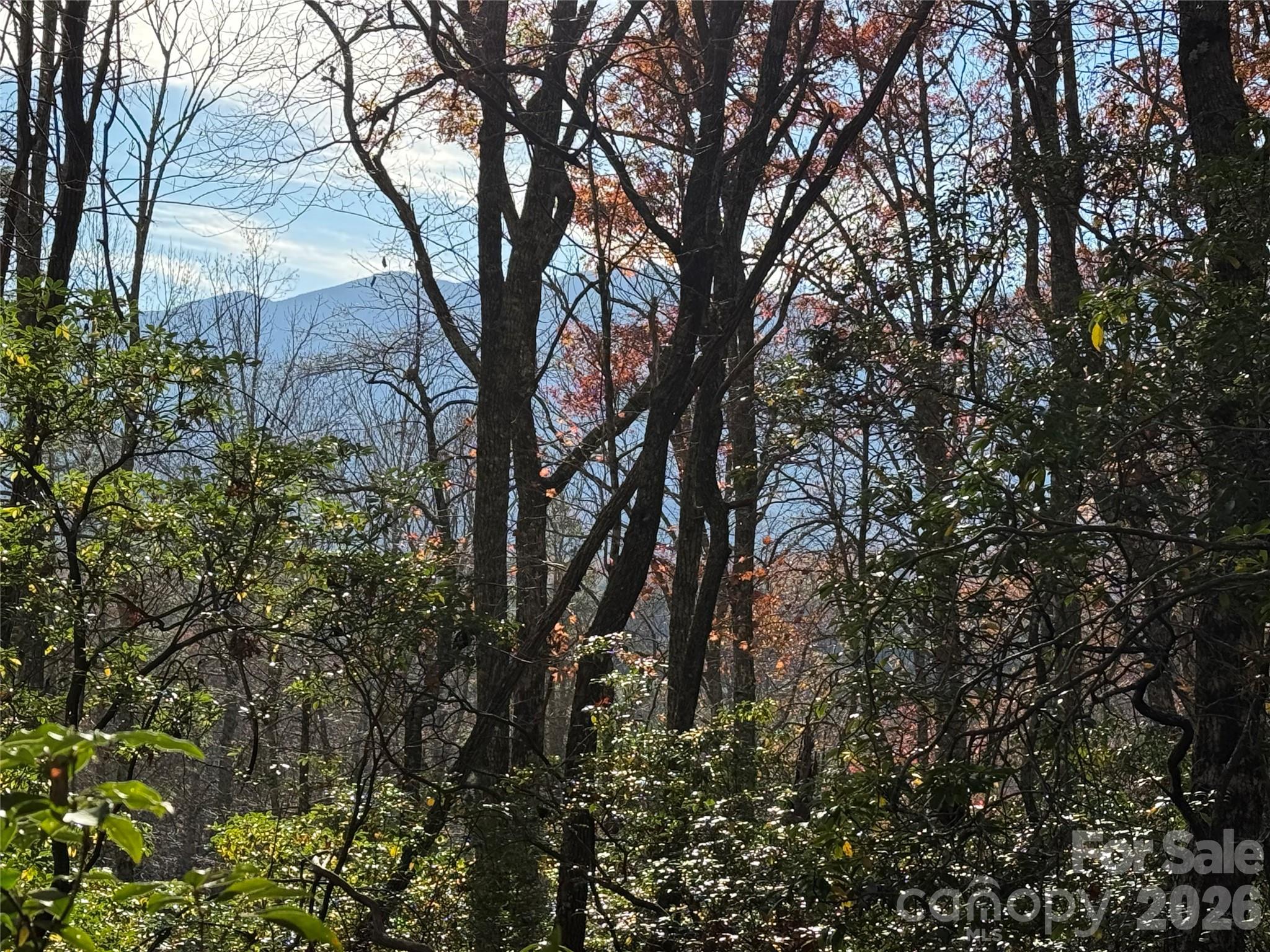 0000 Halls Chapel Road Burnsville NC 28714