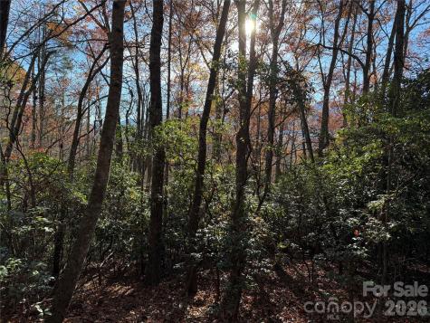 0000 Halls Chapel Road Burnsville NC 28714