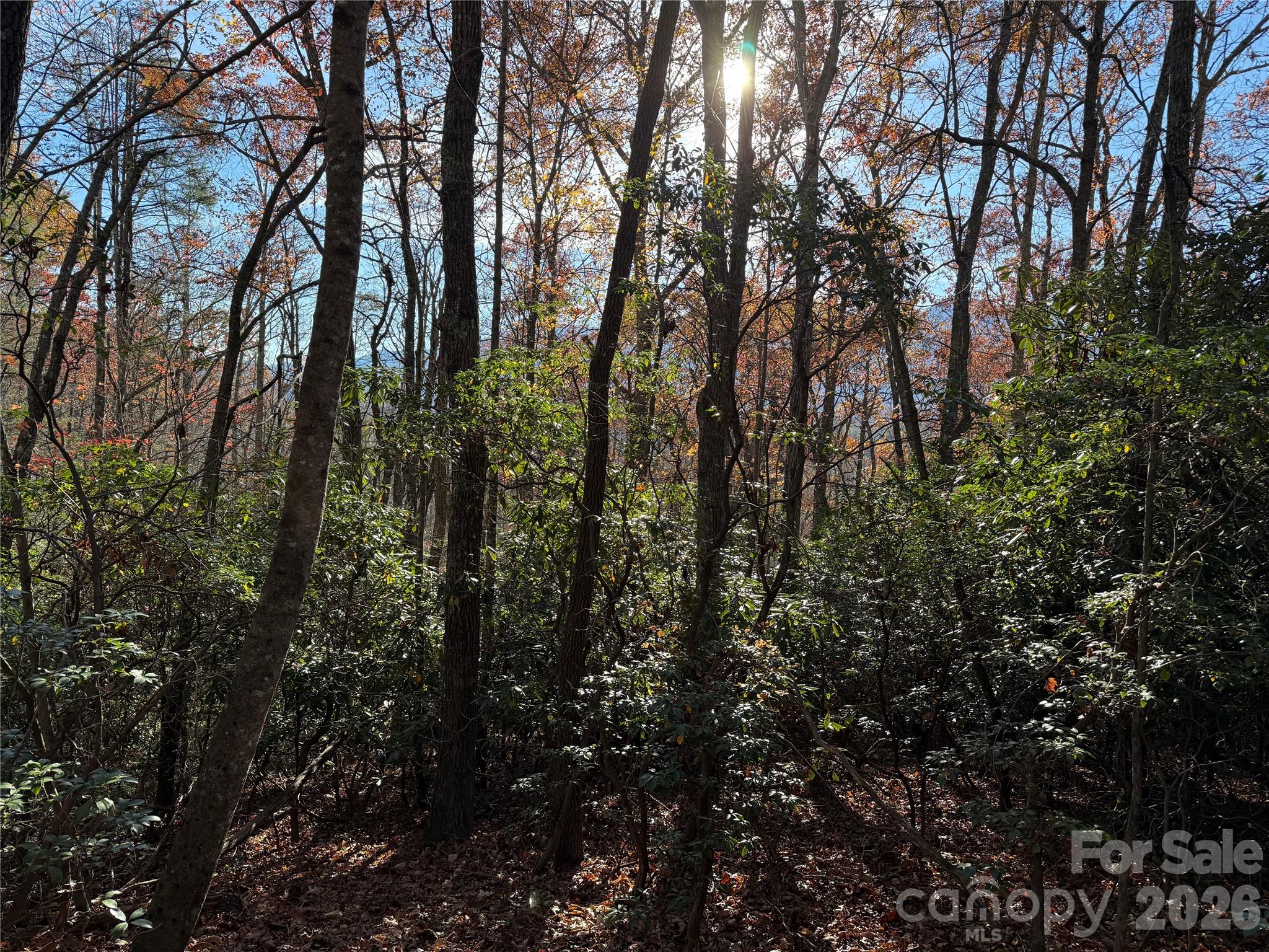0000 Halls Chapel Road Burnsville NC 28714
