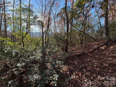 0000 Halls Chapel Road Burnsville NC 28714
