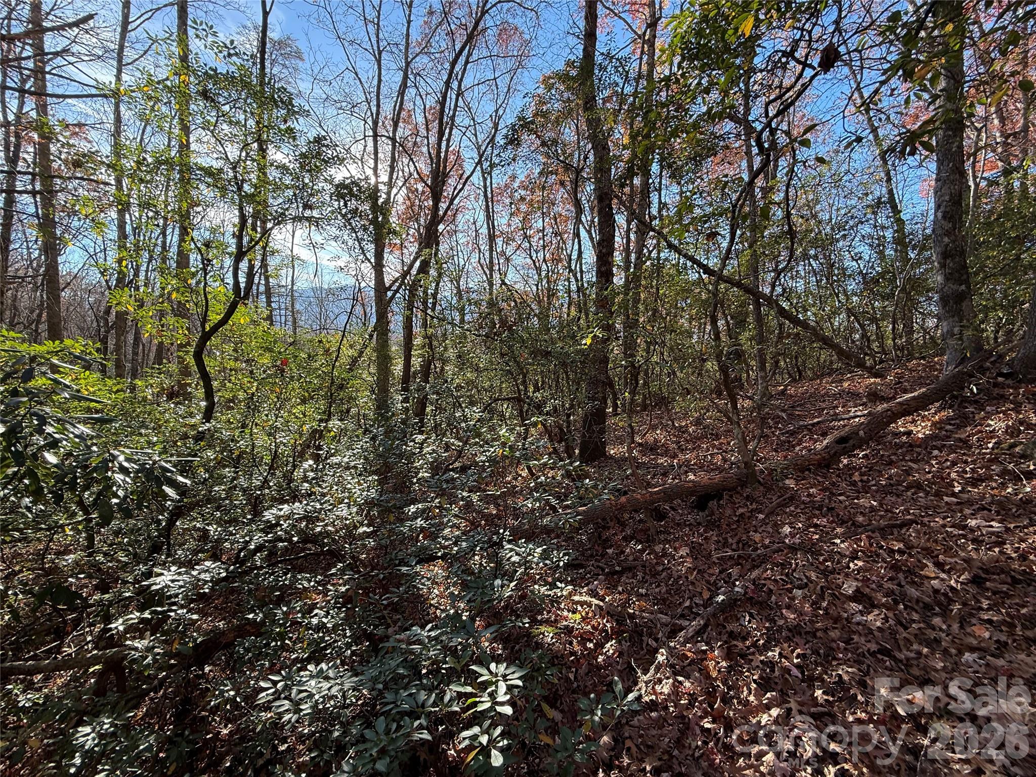 0000 Halls Chapel Road Burnsville NC 28714
