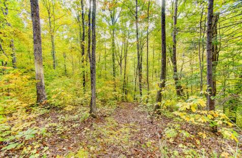 443 Glen Valley Drive Weaverville NC 28787