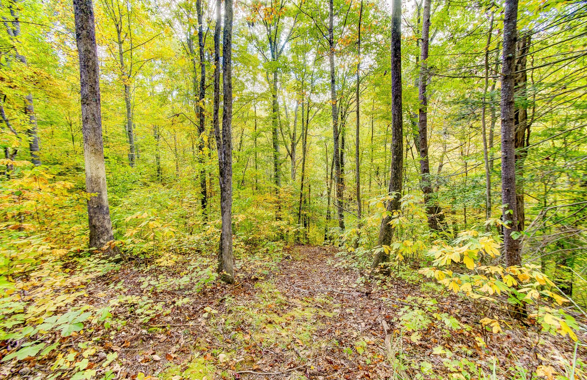 443 Glen Valley Drive Weaverville NC 28787