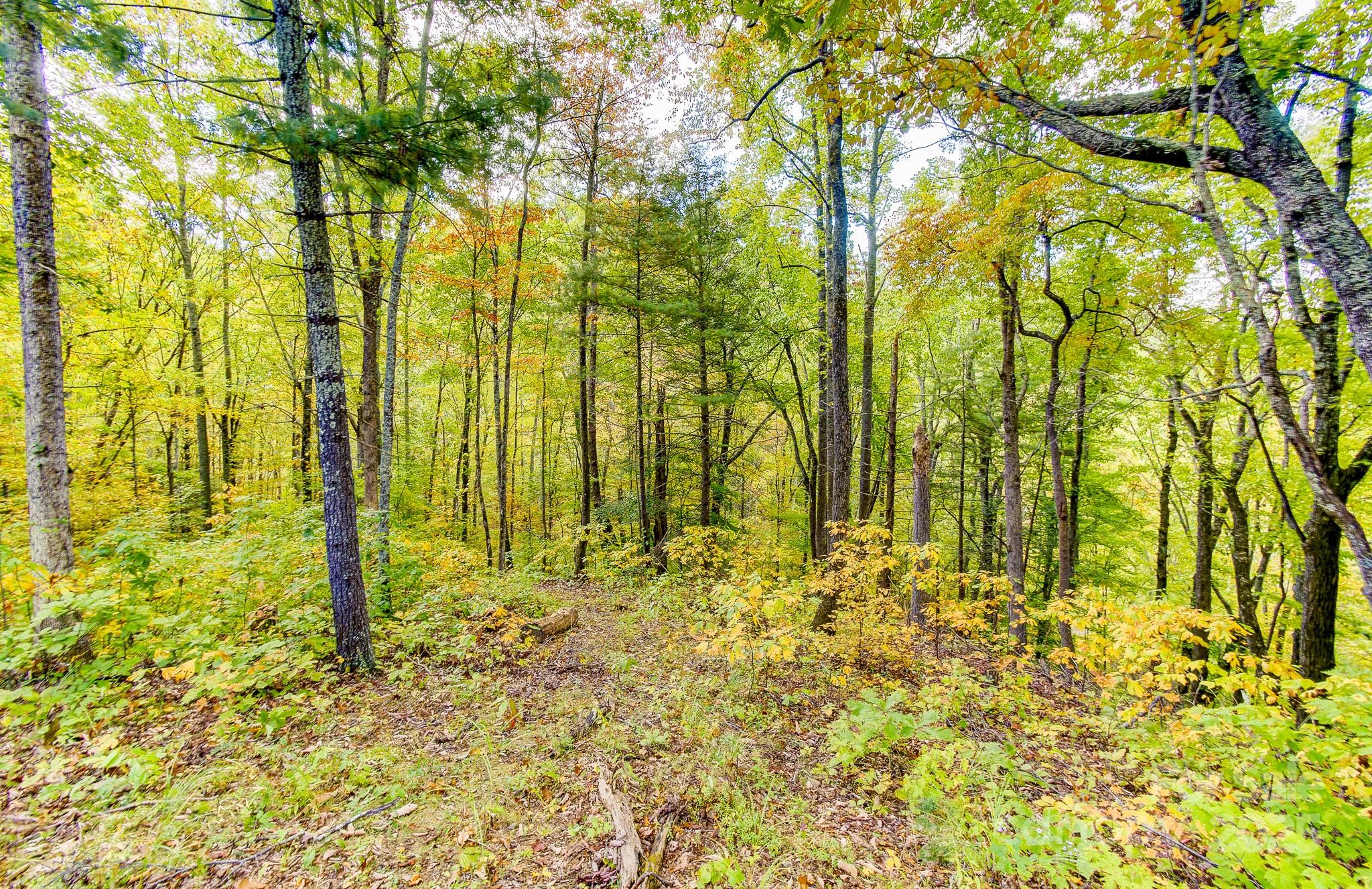 443 Glen Valley Drive Weaverville NC 28787
