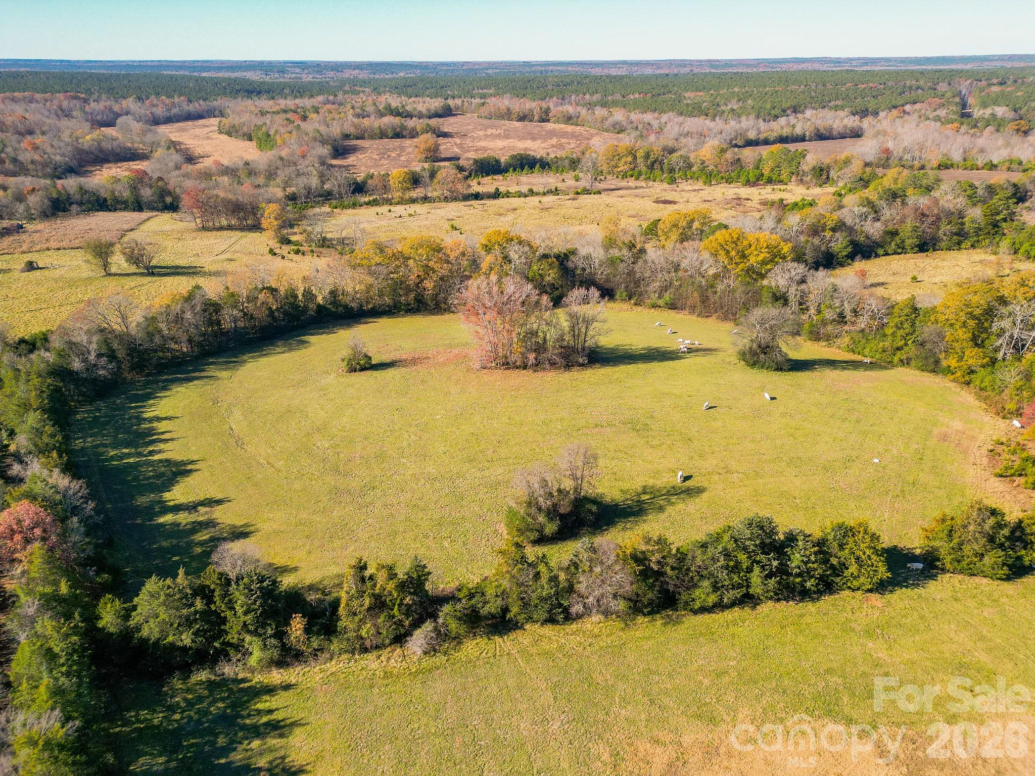 1049 Culp Ferguson Road Lancaster SC 29720