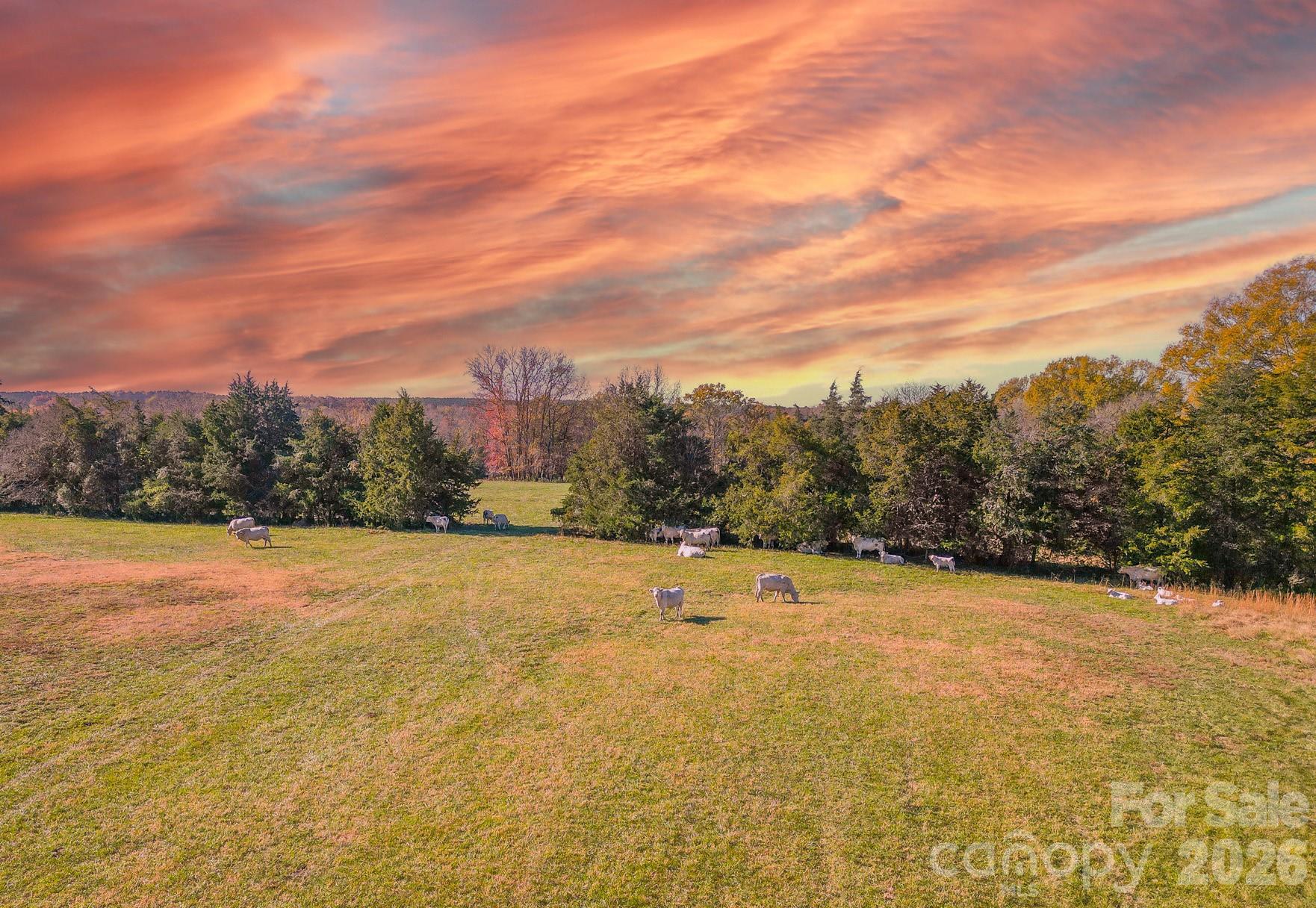 1049 Culp Ferguson Road Lancaster SC 29720