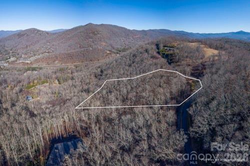 96 Castanea Mountain Drive Asheville NC 28803