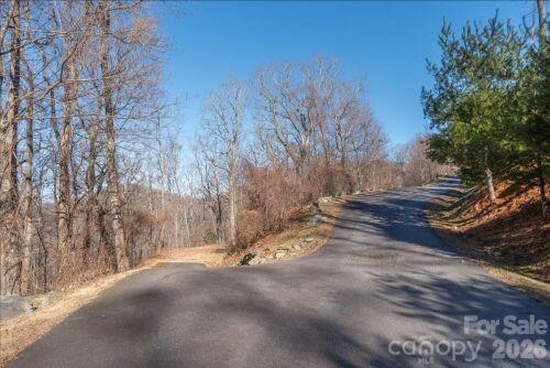 96 Castanea Mountain Drive Asheville NC 28803
