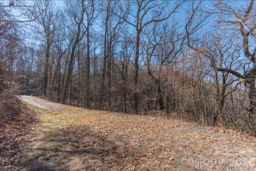 96 Castanea Mountain Drive Asheville NC 28803