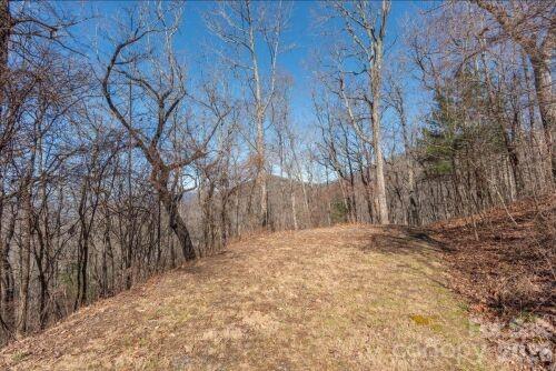 96 Castanea Mountain Drive Asheville NC 28803