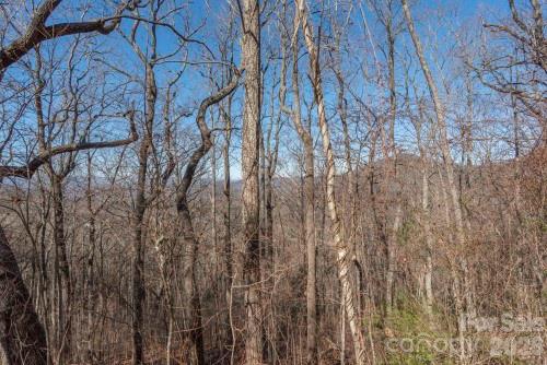 96 Castanea Mountain Drive Asheville NC 28803