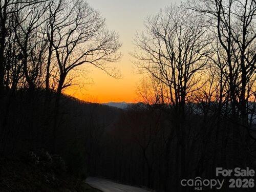 96 Castanea Mountain Drive Asheville NC 28803