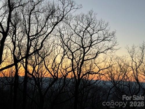 96 Castanea Mountain Drive Asheville NC 28803