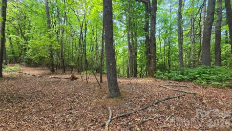 262 Wingfield Way Brevard NC 28712