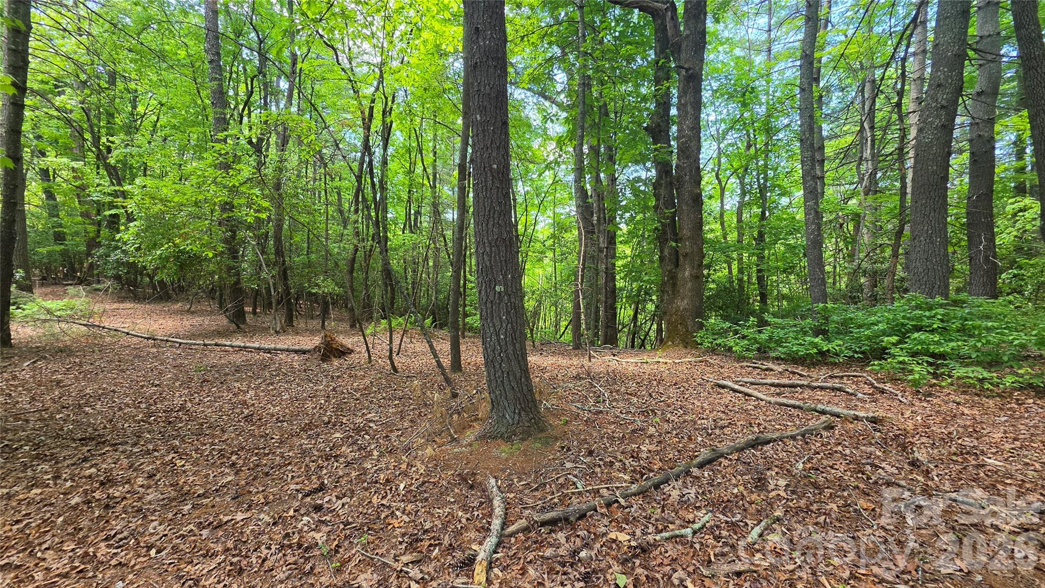 262 Wingfield Way Brevard NC 28712