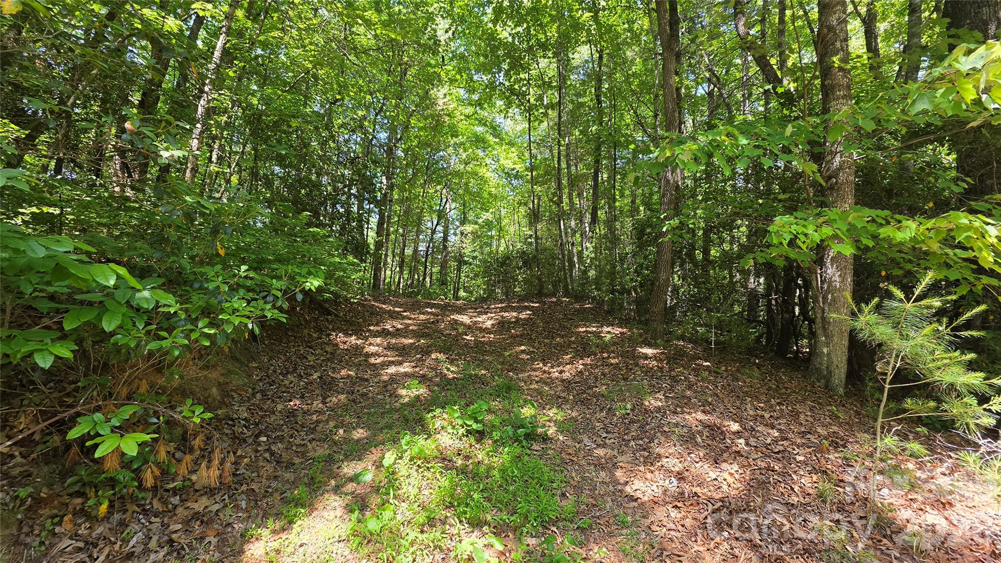 262 Wingfield Way Brevard NC 28712