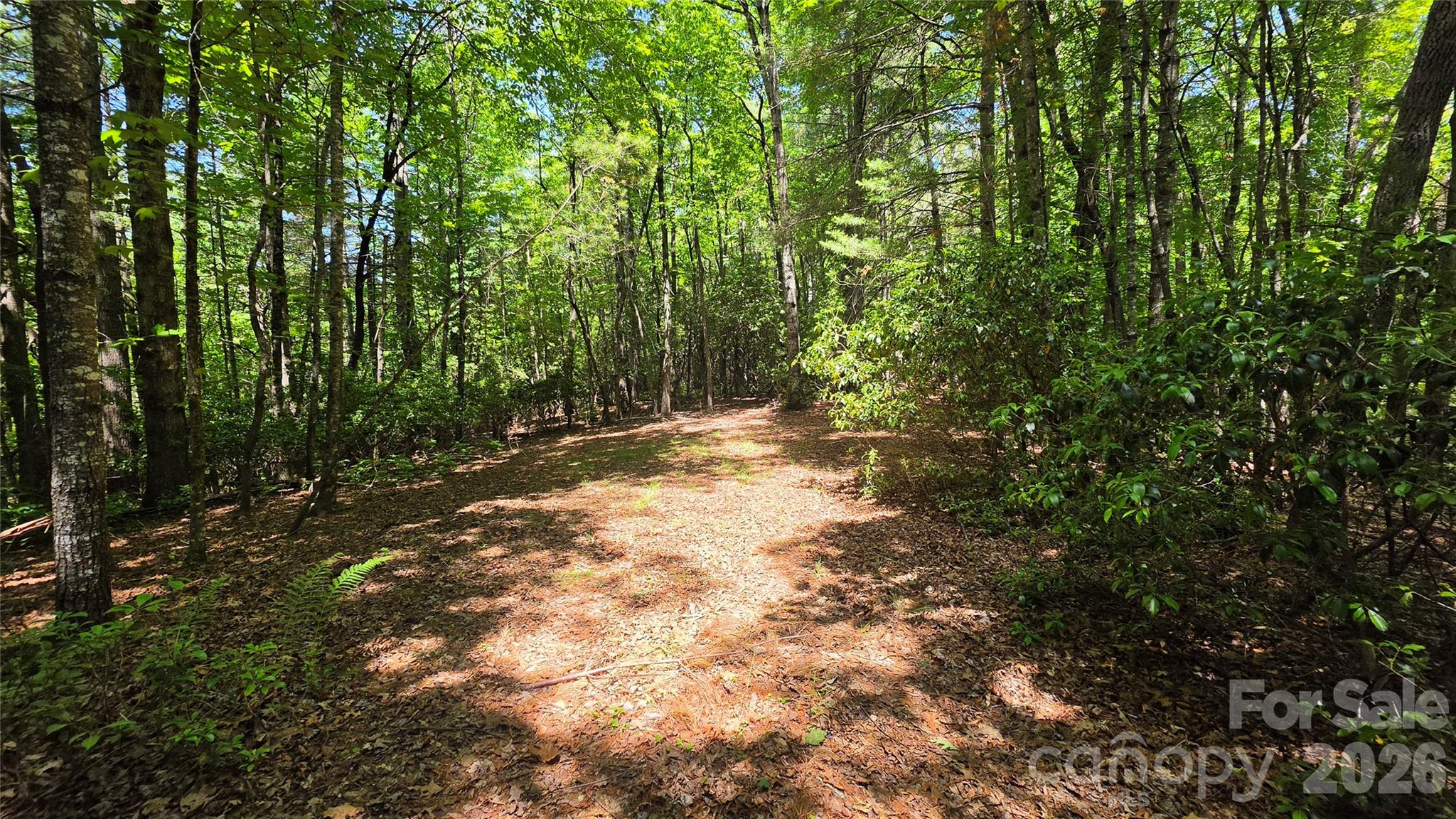 262 Wingfield Way Brevard NC 28712