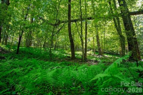 262 Wingfield Way Brevard NC 28712
