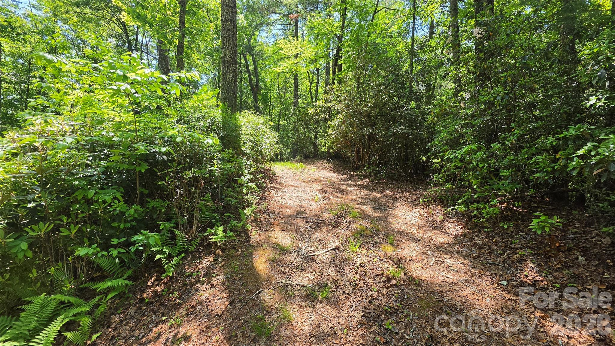 262 Wingfield Way Brevard NC 28712