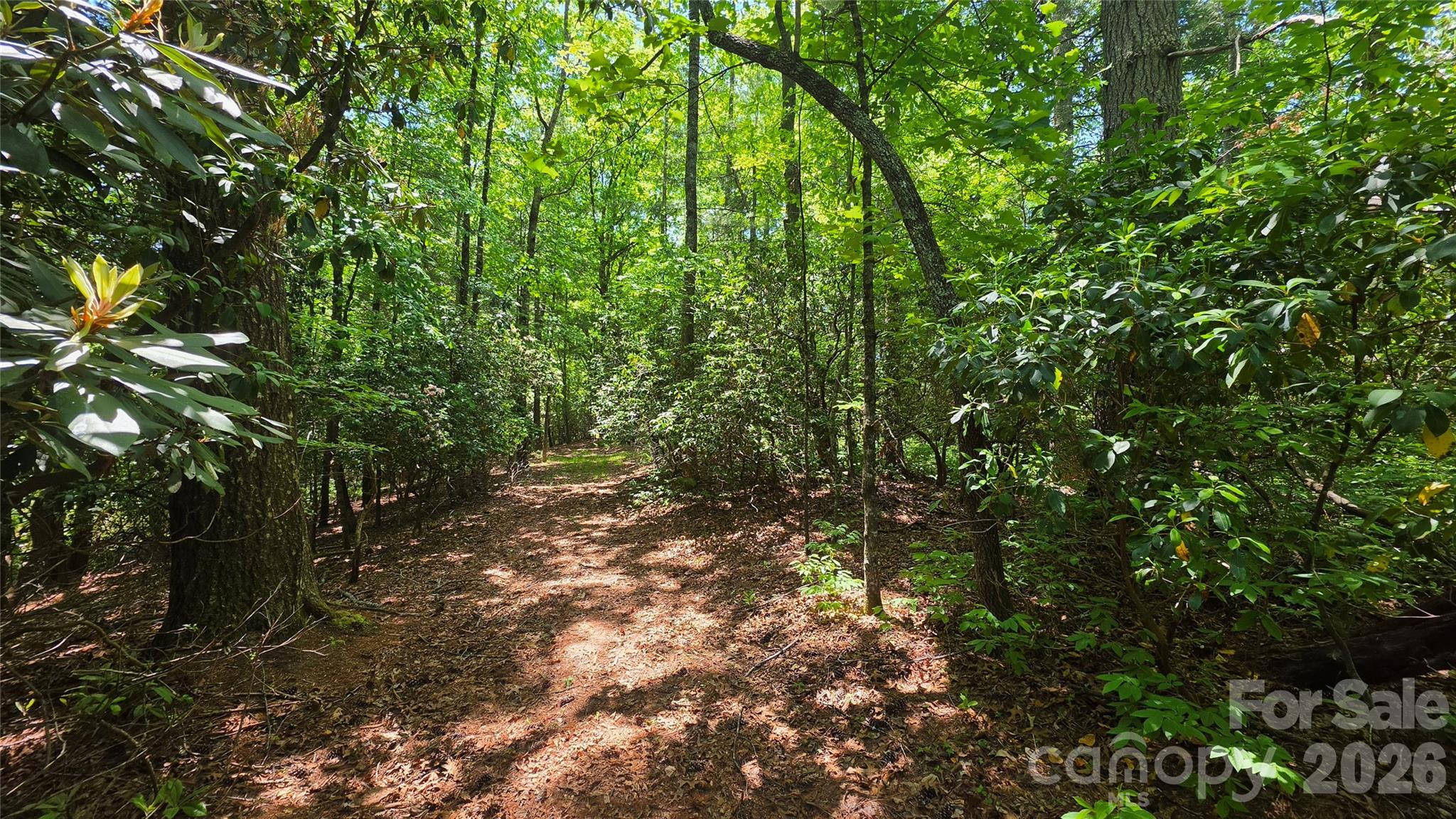 262 Wingfield Way Brevard NC 28712