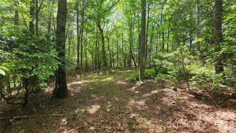 262 Wingfield Way Brevard NC 28712