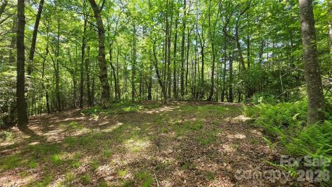 262 Wingfield Way Brevard NC 28712