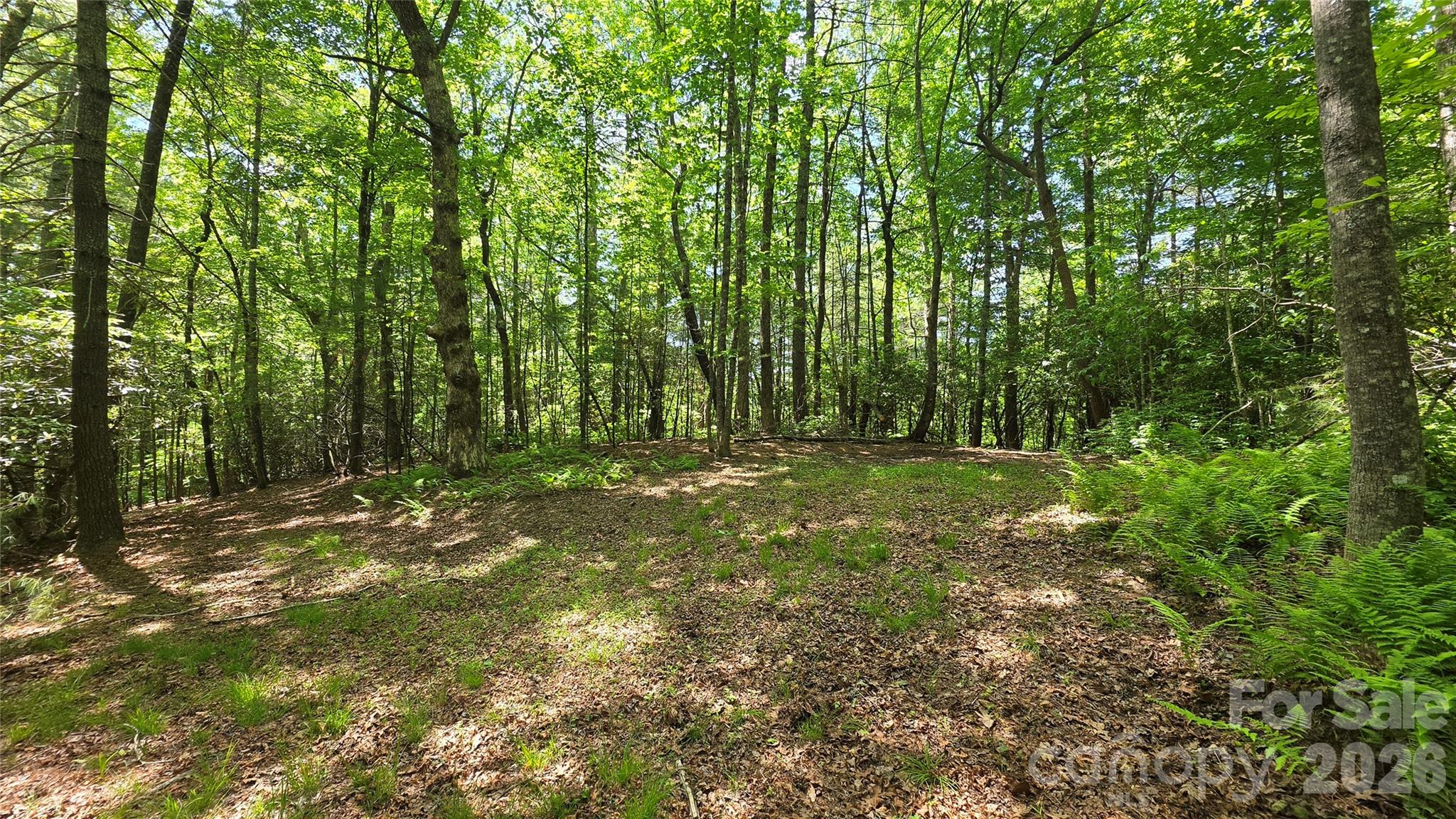 262 Wingfield Way Brevard NC 28712
