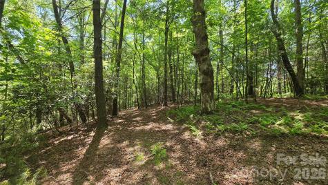 262 Wingfield Way Brevard NC 28712