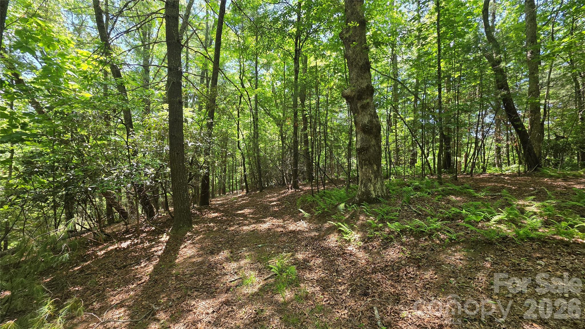 262 Wingfield Way Brevard NC 28712