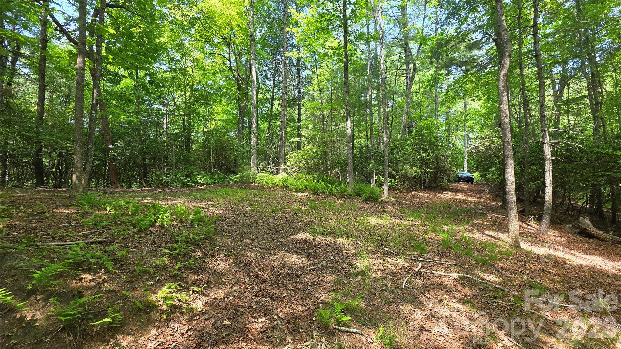 262 Wingfield Way Brevard NC 28712
