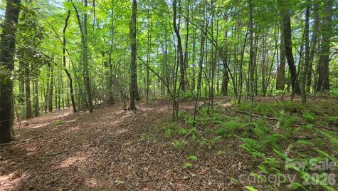 262 Wingfield Way Brevard NC 28712