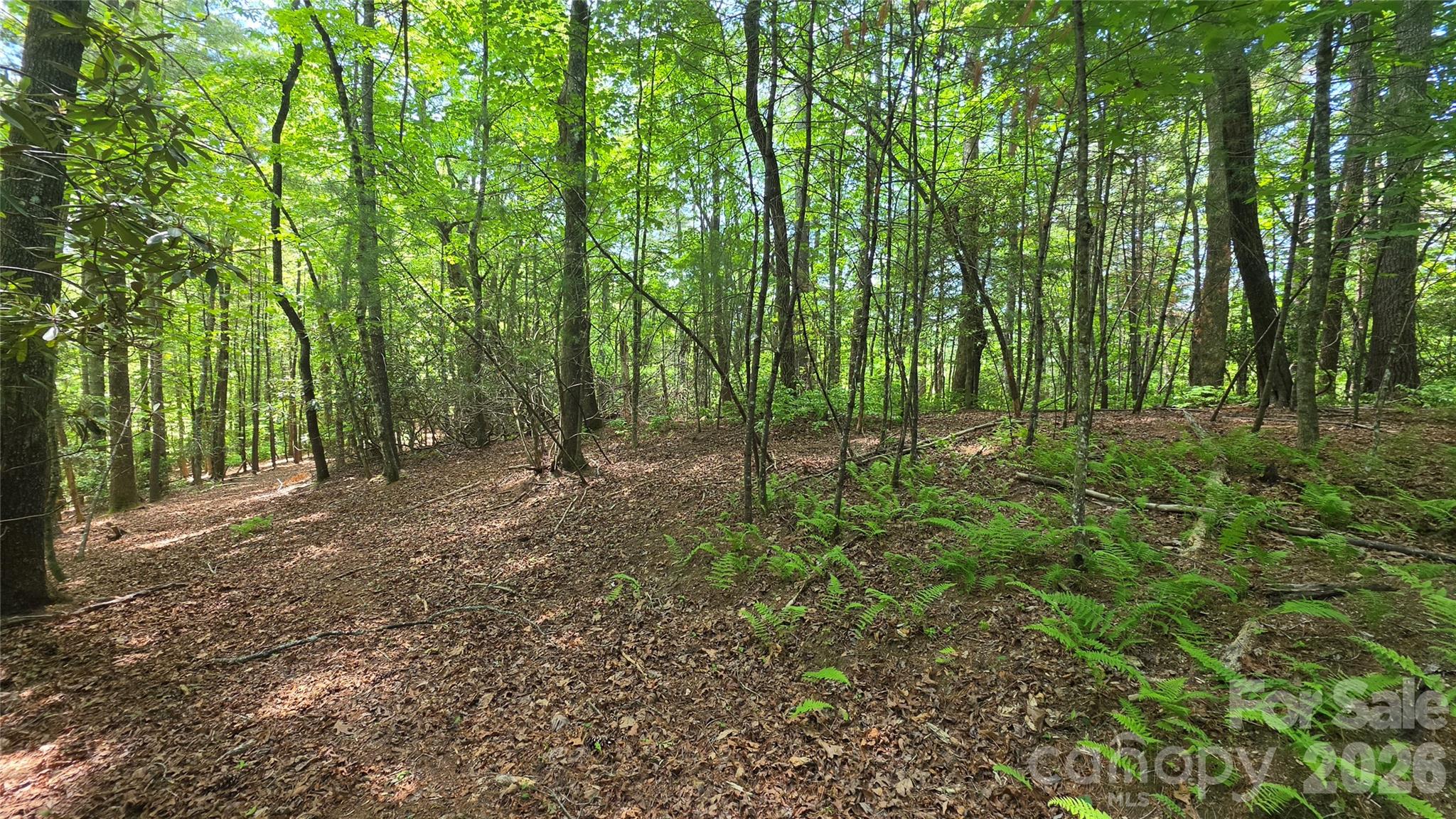 262 Wingfield Way Brevard NC 28712