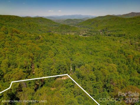 109 & 99999 Apgar Road Candler NC 28715