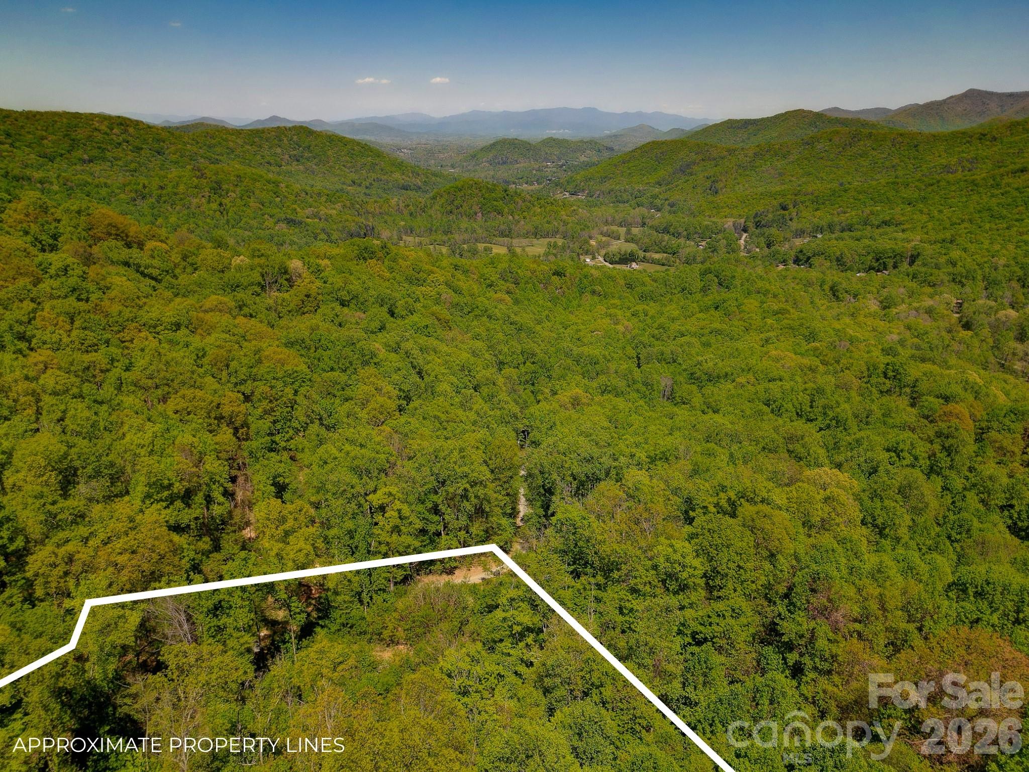 109 & 99999 Apgar Road Candler NC 28715