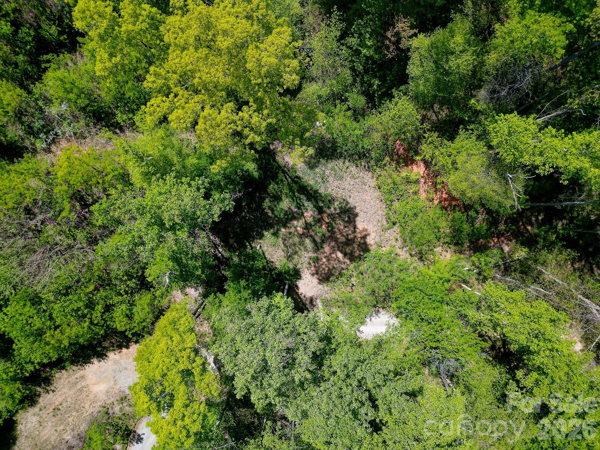 109 & 99999 Apgar Road Candler NC 28715