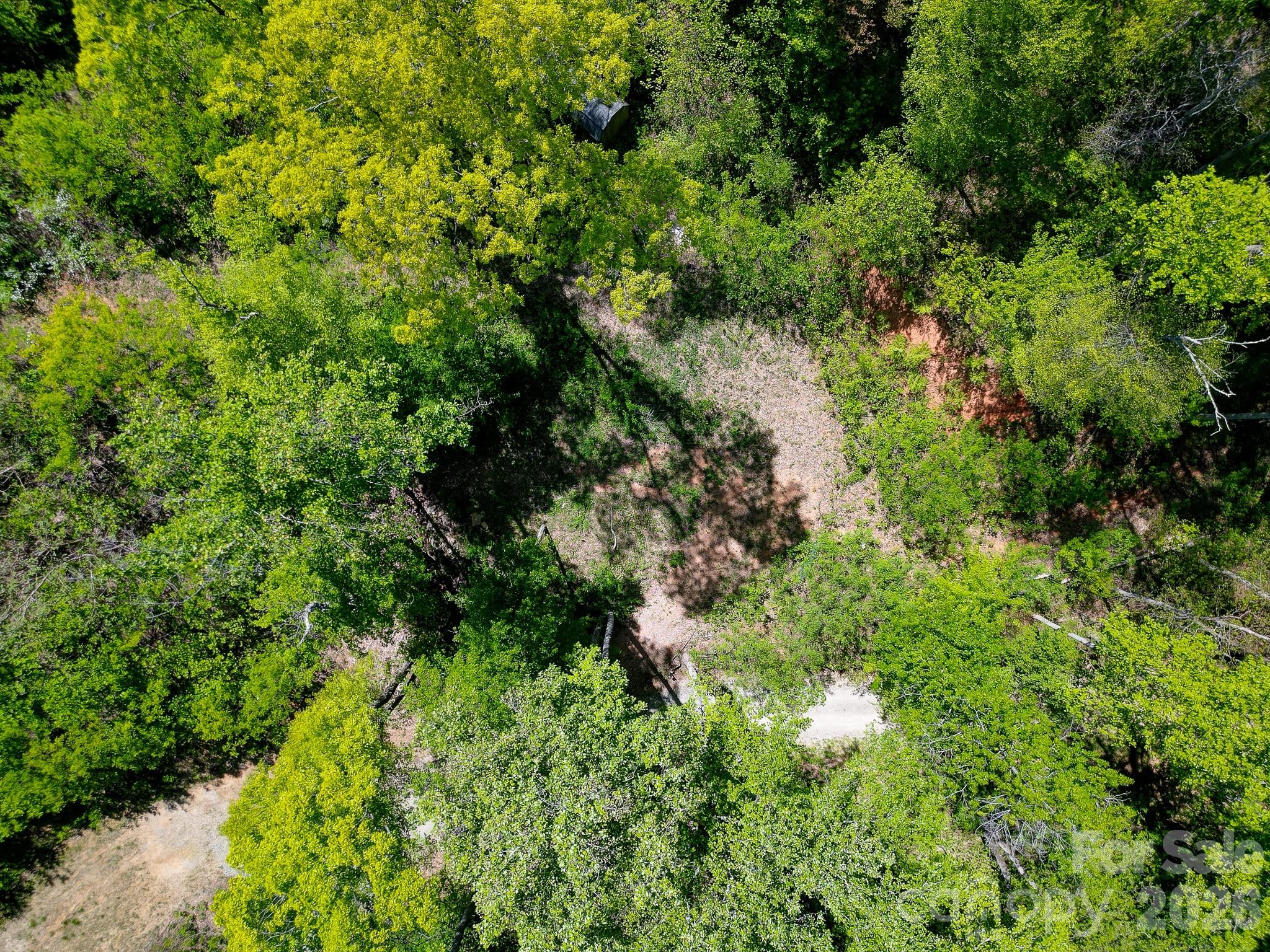 109 & 99999 Apgar Road Candler NC 28715