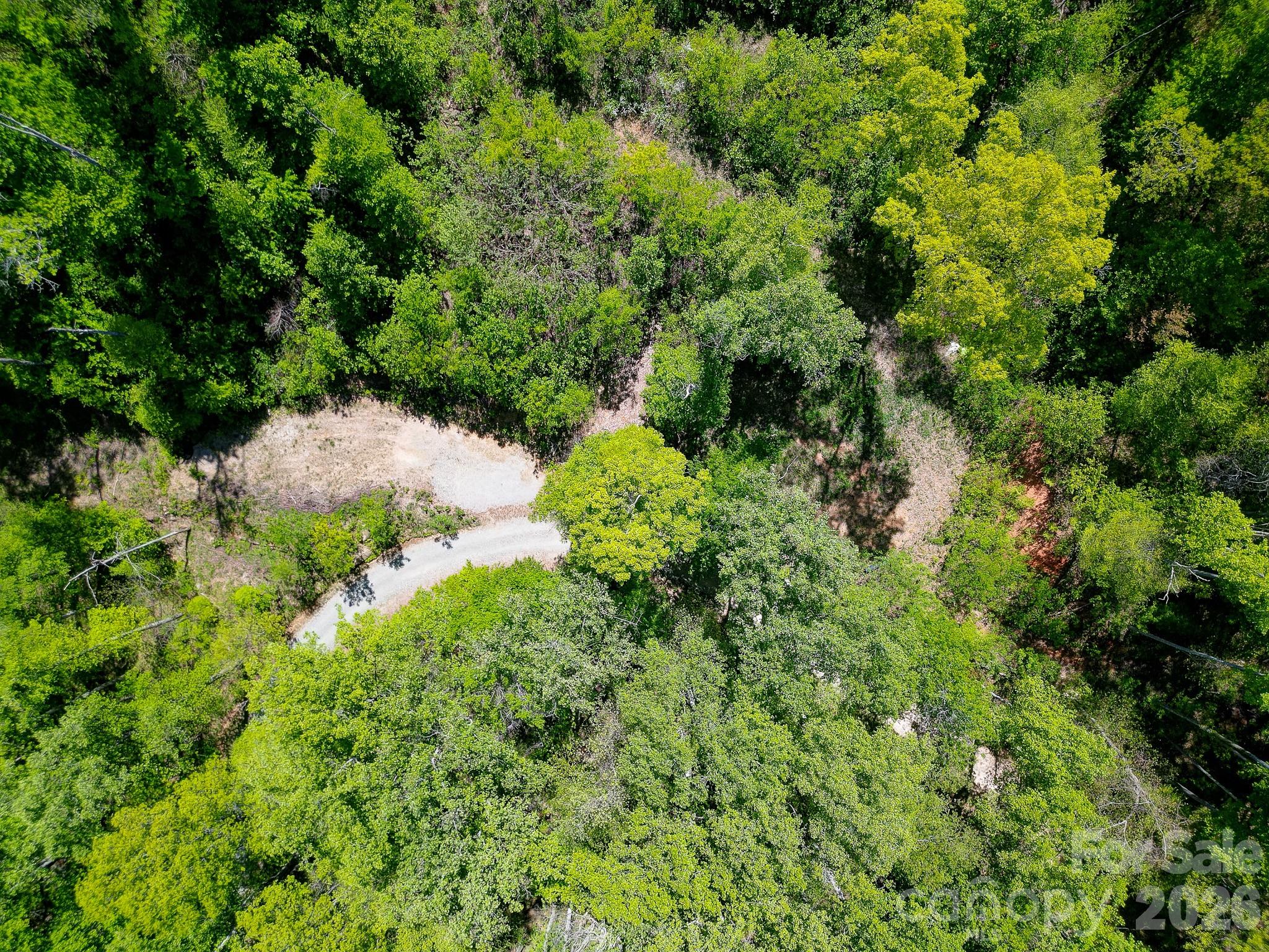 109 & 99999 Apgar Road Candler NC 28715
